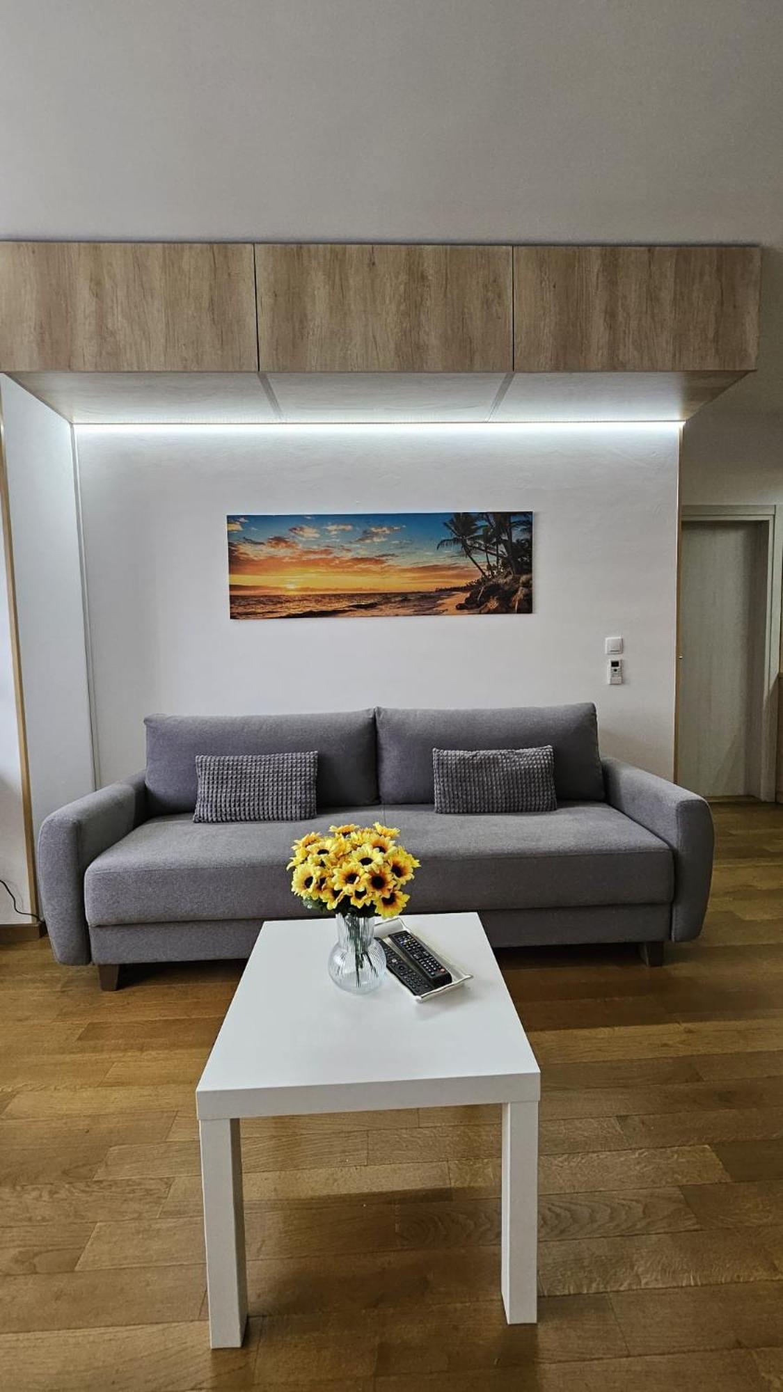 Ferienwohnung Porodicno-Poslovni Udoban Stan Belgrad Exterior foto